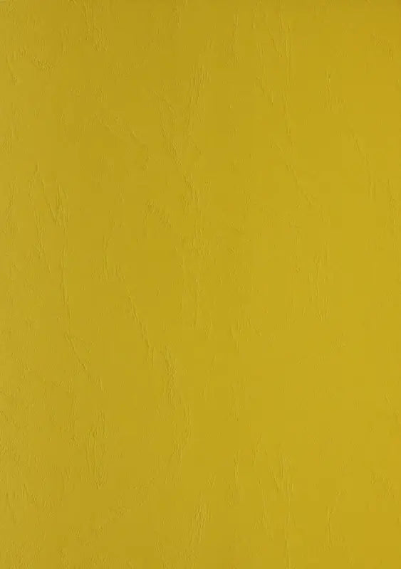 100 Lederkartons A4 Gelb 270 g/m² Clairefontaine (210 x 297 mm) [2700]