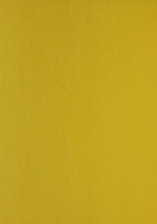 100 Lederkartons Clairefontaine A4 Gelb 240 g/m² (210 x 297 mm) [2770]