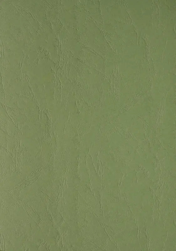 100 Lederkartons Clairefontaine A4 Dunkelgrün 240 g/m² (210 x 297 mm) [2763]