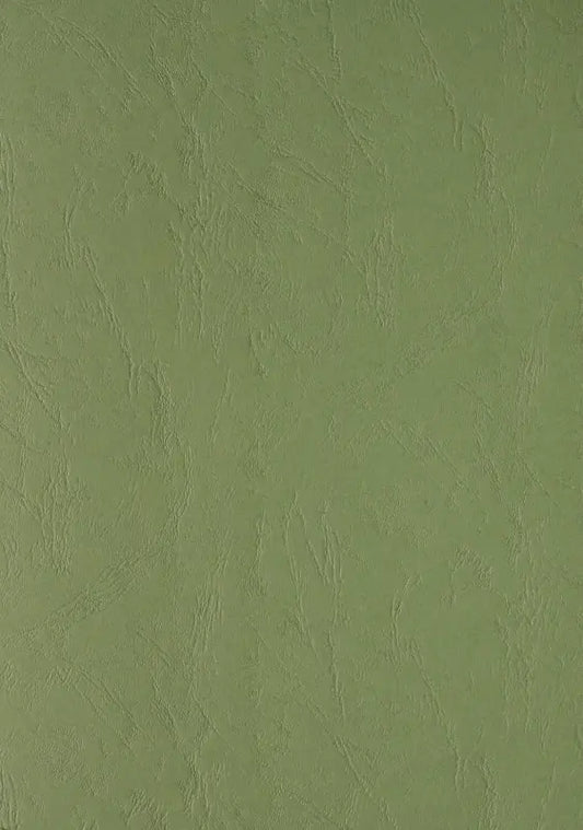 100 Lederkartons Clairefontaine A4 Grün 240 g/m² (210 x 297 mm) [2763]