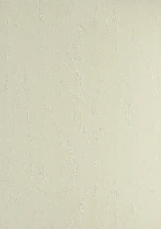 100 Lederkartons A4 Beige 270 g/m² Clairefontaine (210 x 297 mm) [2704]