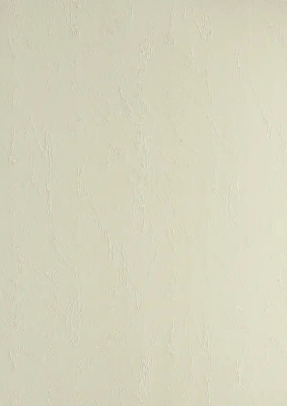 100 Lederkartons A4 Beige 270 g/m² Clairefontaine (210 x 297 mm) [2704]