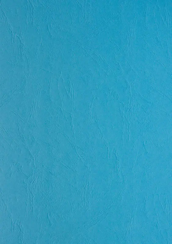 100 Lederkartons A4 Hellblau 270 g/m² Clairefontaine (210 x 297 mm) [2705]