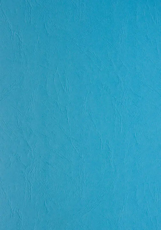 100 Lederkartons Clairefontaine A4 Hellblau 240 g/m² (210 x 297 mm) [2776]