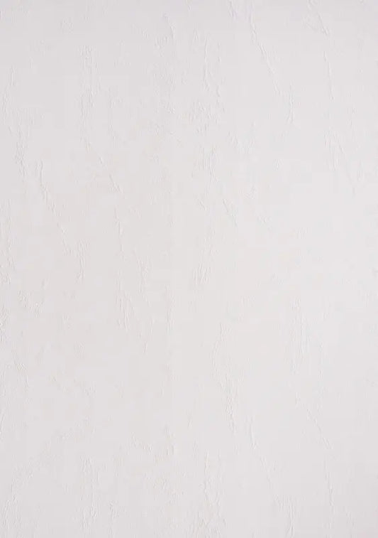 100 Lederkartons Clairefontaine A4 Weiß 240 g/m² (210 x 297 mm) [2766]