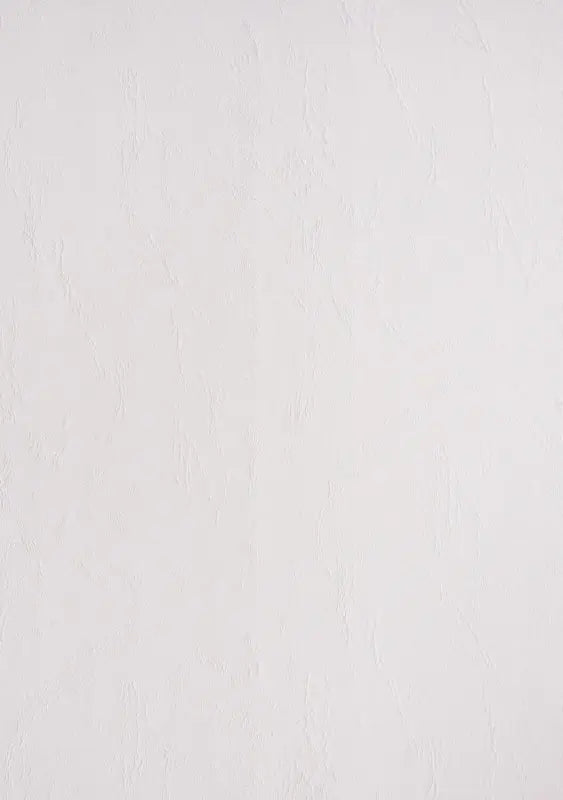 100 Lederkartons A3 Weiß 270 g/m² Clairefontaine (297 x 420 mm) [2715]