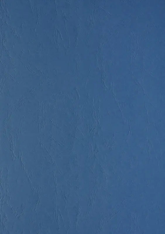 100 Lederkartons Clairefontaine A4 Blau 240 g/m² (210 x 297 mm) [2768]