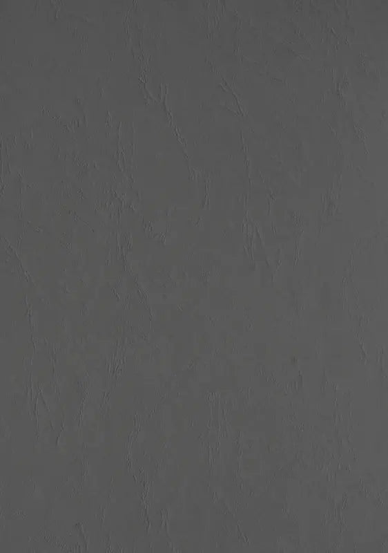 100 Lederkartons A4 Grau 270 g/m² Clairefontaine (210 x 297 mm) [2708]