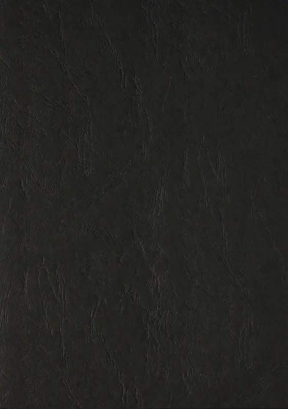 100 Lederkartons A3 Schwarz 270 g/m² Clairefontaine (297 x 420 mm) [2716]