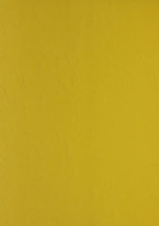 100 Lederkartons Clairefontaine A4 Gelb 240 g/m² (210 x 297 mm) [2770]