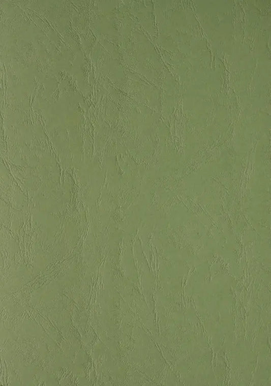 100 Lederkartons A4 Dunkelgrün 270 g/m² Clairefontaine (210 x 297 mm) [2703]