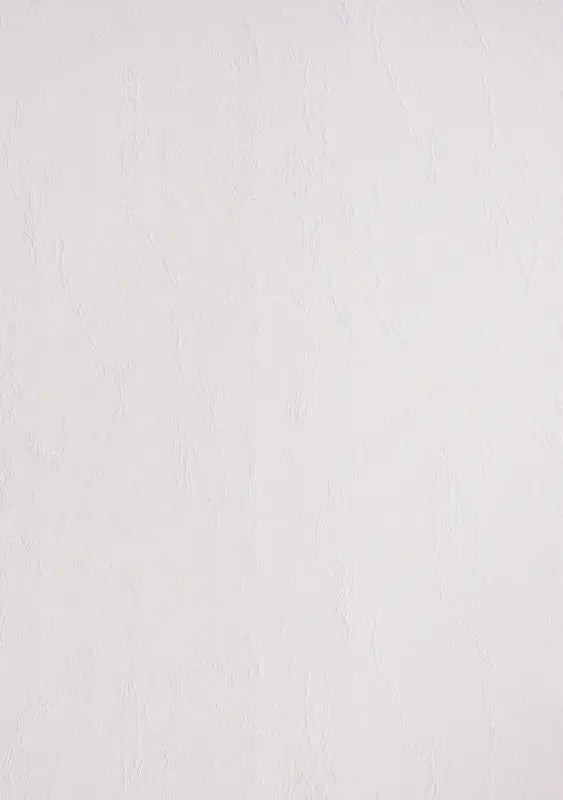 100 Lederkartons A4 Weiß 270 g/m² Clairefontaine (210 x 297 mm) [2706]