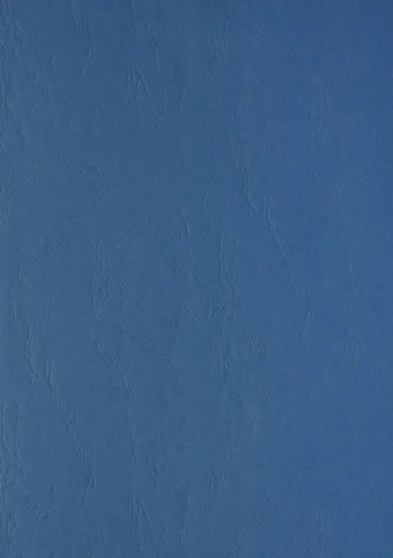 100 Lederkartons A4 Blau 270 g/m² Clairefontaine (210 x 297 mm) [2707]