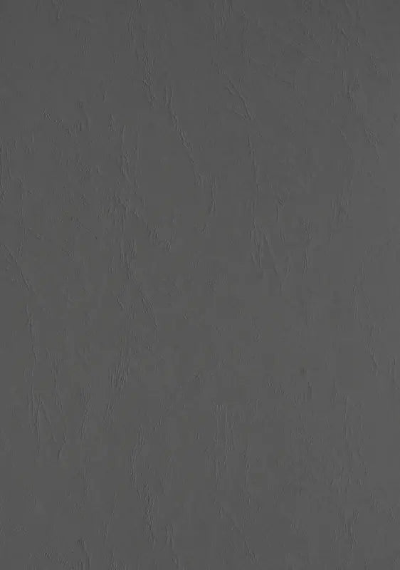 100 Lederkartons A4 Grau 270 g/m² Clairefontaine (210 x 297 mm) [2708]