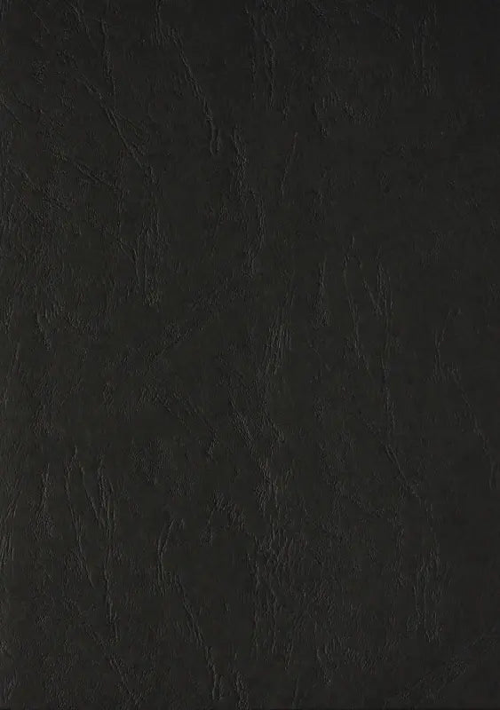 100 Lederkartons A4 Schwarz 270 g/m² Clairefontaine (210 x 297 mm) [2710]